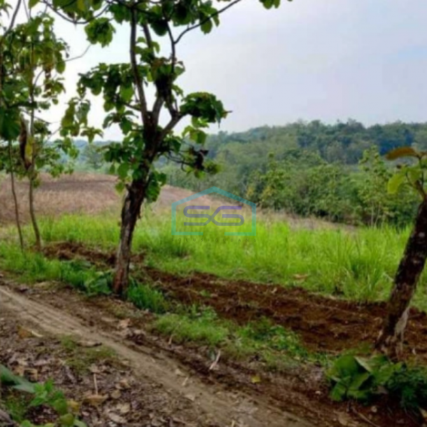 Dijual Tanah Industri Lokasi Sumberlawang Sragen Jawa Tengah Luas 65870m2-1