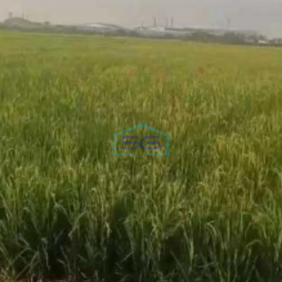Dijual Tanah Industri Lokasi Sumberlawang Sragen Jawa Tengah Luas 65870m2