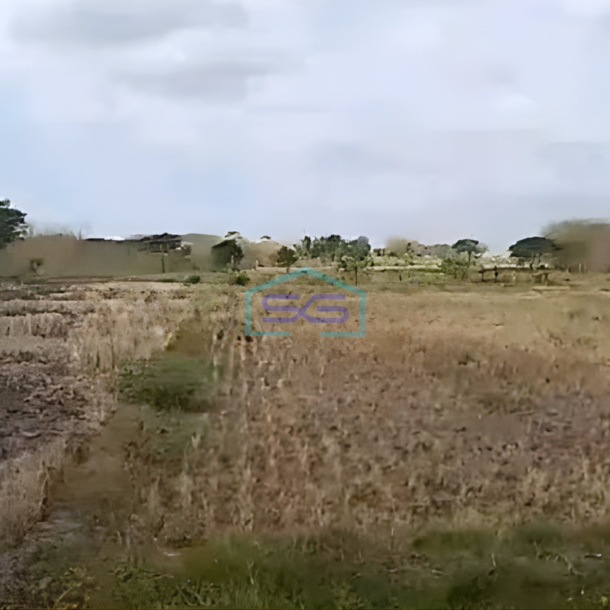Dijual Tanah Zona Merah Industri Lokasi Klaten Jawa Tengah Luas 190000m2-2