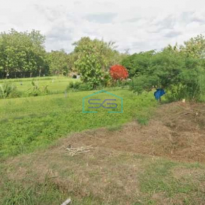 Dijual Tanah Strategis Pekarangan Gondangrejo Karanganyar Jawa Tengah Luas 4948m2