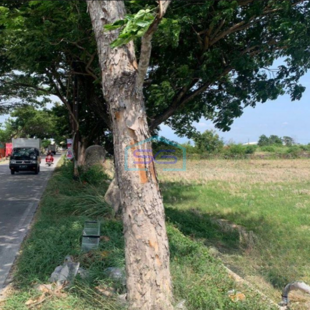 Dijual Tanah Kawasan Industri Lokasi Colomadu Solo Luas 3,2 Ha-2