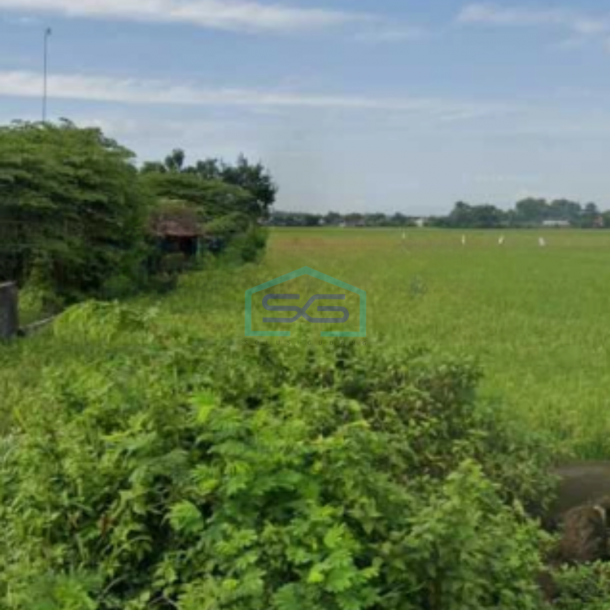 Dijual Tanah Zona Industri Lokasi Masaran Sragen Jawa Tengah Luas Tanah 37000m2-1