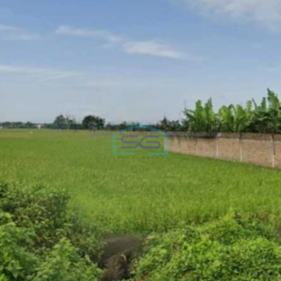 Dijual Tanah Zona Industri Lokasi Masaran Sragen Jawa Tengah Luas Tanah 37000m2