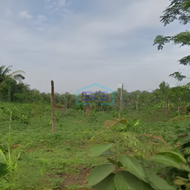 Dijual Tanah di Zona Industri Lokasi Batang Jawa Tengah Luas 119300m2-1