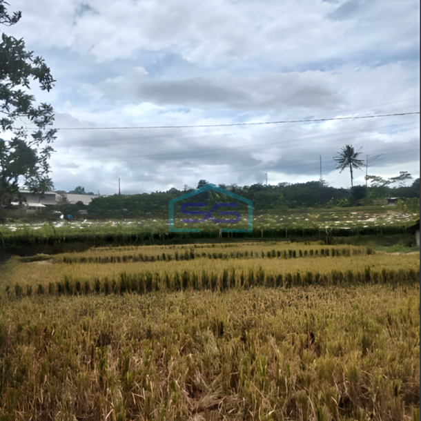 Dijual Tanah Zona Industri Strategis Bergas Semarang Luas 4 Ha-2