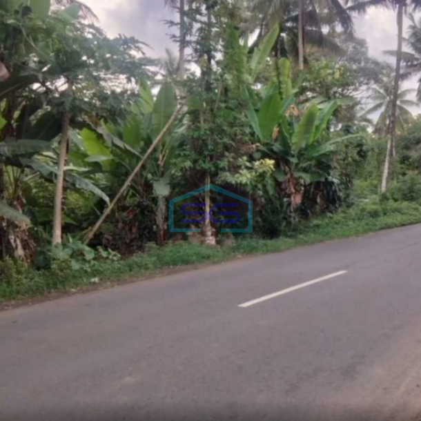 Dijual Tanah Zona Industri Lokasi Strategis Salatiga Semarang Luas 47391m2-2