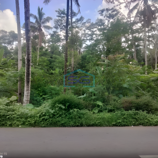 Dijual Tanah Zona Industri Lokasi Strategis Salatiga Semarang Luas 47391m2-1