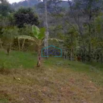 Dijual Tanah Super Strategis Pekarangan Bandungan Semarang Luas 20000m2