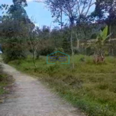 Dijual Tanah Super Strategis Pekarangan Bandungan Semarang Luas 20000m2