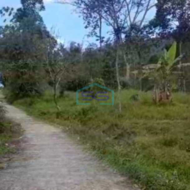 Dijual Tanah Super Strategis Pekarangan Bandungan Semarang Luas 20000m2-2