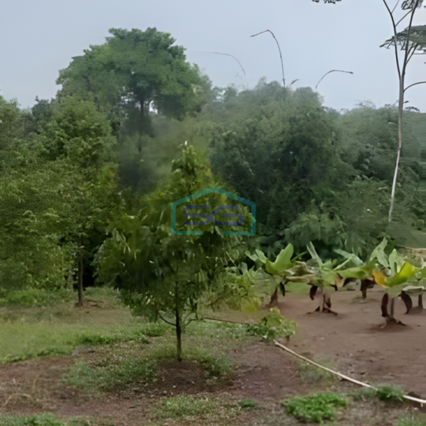 Dijual Murah Tanah di Pandeglang Banten Luas Tanah 22800m2-1