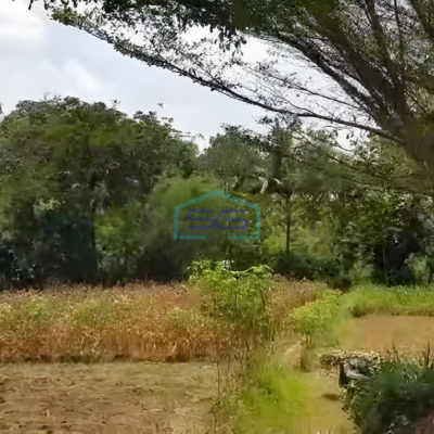 Dijual Tanah Strategis Industri Lokasi Mojosongo Boyolali Jawa Tengah Luas 50535m2