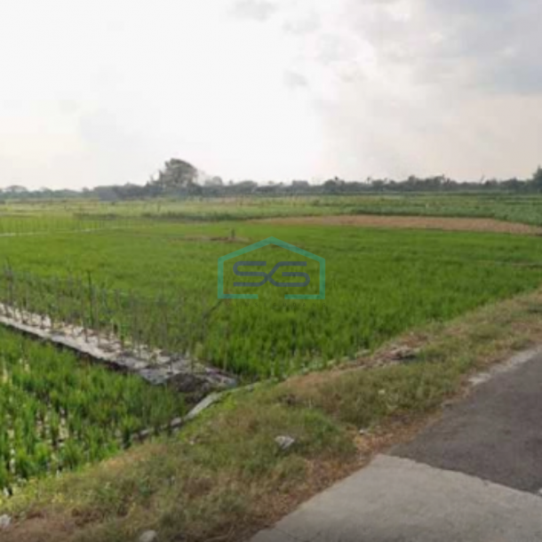 Dijual Tanah Zona Industri Lokasi Sumberlawang Sragen Jawa Tengah LT 40000m2-3