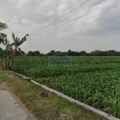 Dijual Tanah Zona Industri Luas Tanah 40000m2 Cepoko, Sumberlawang Sragen Jawa Tengah