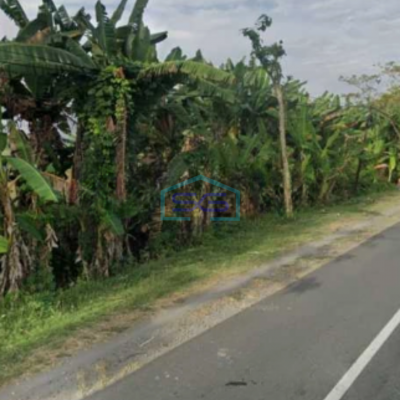 Dijual Lahan Tanah Zona Industri Strategis Sambungmacan Sragen Jawa Tengah Luas 60000m2