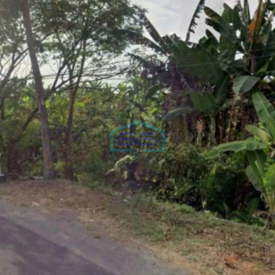 Dijual Lahan Tanah Zona Industri Strategis Sambungmacan Sragen Jawa Tengah Luas 60000m2