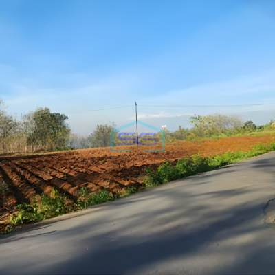 Dijual Tanah Zona Industri Strategis Polokarto Sukoharjo Jawa Tengah Luas 4900m2