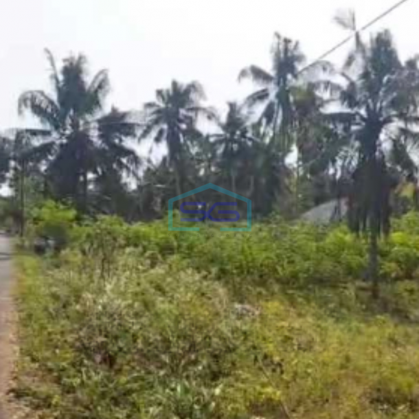 Dijual Tanah Pekarangan Lokasi Pengasih Yogyakarta Luas 10320m2-3