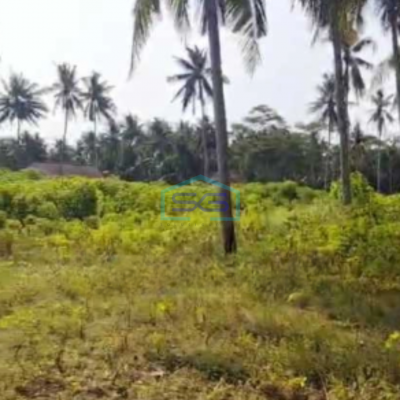 Dijual Tanah Pekarangan Lokasi Pengasih Yogyakarta Luas 10320m2