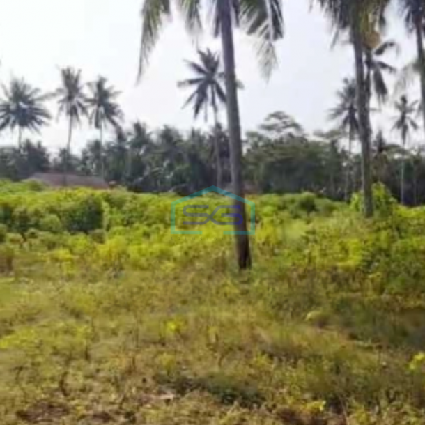 Dijual Tanah Pekarangan Lokasi Pengasih Yogyakarta Luas 10320m2-2