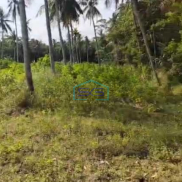 Dijual Tanah Pekarangan Lokasi Pengasih Yogyakarta Luas 10320m2-1