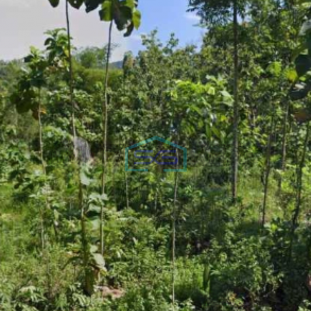 Dijual Tanah Pekarangan Lokasi Pengasih Yogyakarta Luas Tanah 50000m2-3