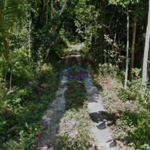 Dijual Tanah Pekarangan Lokasi Pengasih Yogyakarta Luas Tanah 50000m2-2