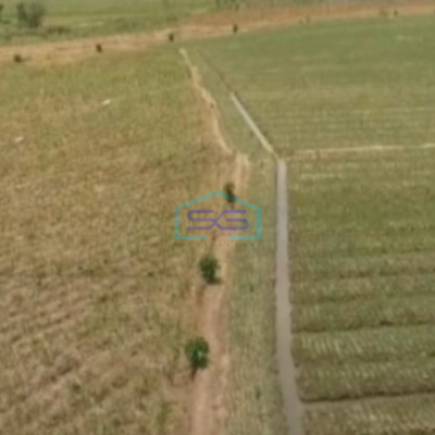 Dijual Tanah Zona Merah Industri Lokasi Grobogan Jawa tengah Luas 100 Ha