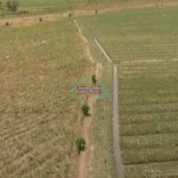 Dijual Tanah Zona Merah Industri Lokasi Grobogan Jawa tengah Luas 100 Ha-1