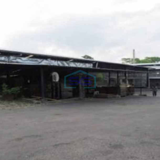 Disewakan Gudang Ex Pabrik Kayu Lokasi Cepogo Boyolali Jawa Tengah LB 3438m2-4