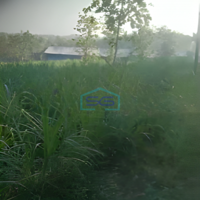 Dijual Lahan Zona Kuning Luas Tanah 40000m2 Lokasi Sukodono Sragen Jawa Tengah