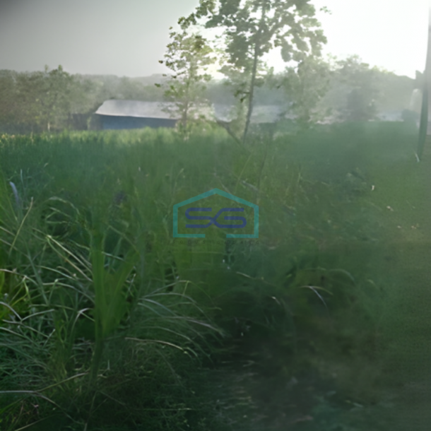 Dijual Lahan Zona Kuning Luas Tanah 40000m2 Lokasi Sukodono Sragen Jawa Tengah-1