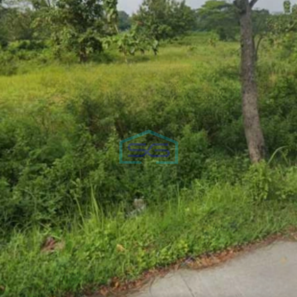 Dijual Lahan Tanah Zona Industri Strategis Sumberlawang Sragen Jawa Tengah Luas 3 Ha-2