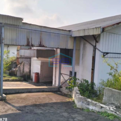 Disewakan Gudang Ex Pabrik Strategis di Sleman Yogyakarta Luas Bangunan 16000m2
