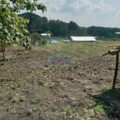 Dijual Lahan Tanah Dalam Zona Industri Strategis Tangen Sragen Jawa Tengah Luas 41 Ha
