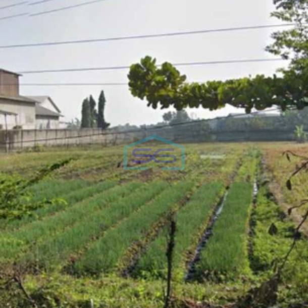 Disewakan Tanah Zona Industri Lokasi Masaran Sragen Jawa Tengah Luas 3600m2-3