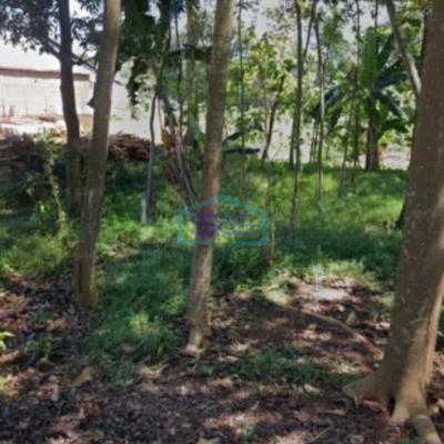 Dijual Lahan Tanah Zona Industri Lokasi Mayong Jepara Jawa Tengah Luas 30000m2