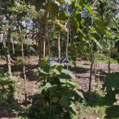 Dijual Lahan Tanah Zona Industri Lokasi Mayong Jepara Jawa Tengah Luas 30000m2