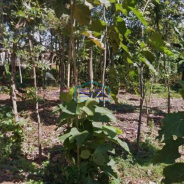 Dijual Lahan Tanah Zona Industri Lokasi Mayong Jepara Jawa Tengah Luas 30000m2-2