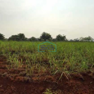 Dijual Tanah Dalam Zona Industri Lokasi Mayong Jepara Tengah Luas 35000m2
