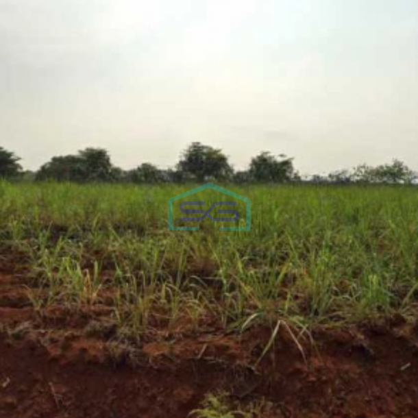Dijual Tanah Dalam Zona Industri Lokasi Mayong Jepara Tengah Luas 35000m2-3