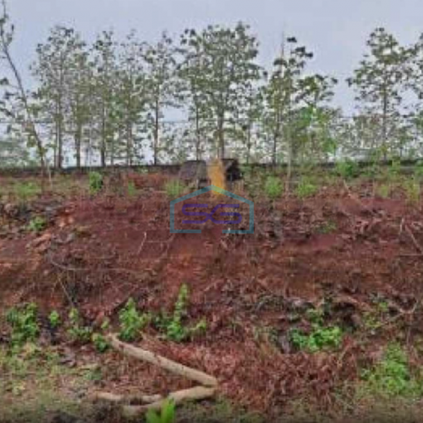 Dijual Tanah Zona Industri Lokasi Pracimantoro Wonogiri Jawa Tengah Luas 131 Ha-1