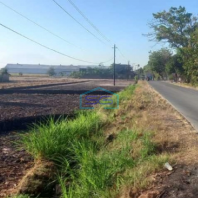 Dijual Lahan Tanah Zona Industri Lokasi Sumberlawang Sragen Jawa Tengah Luas Tanah 420000m2