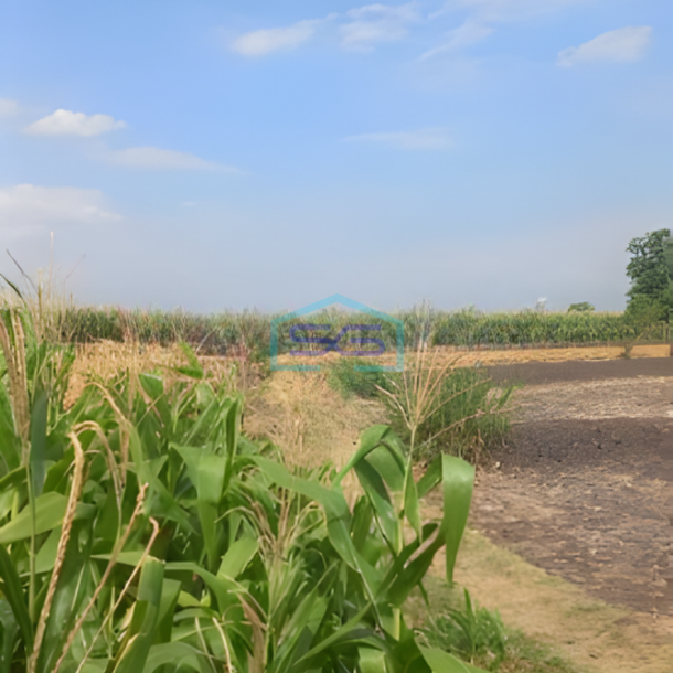 Dijual Lahan Tanah Zona Industri Lokasi Sumberlawang Sragen Jawa Tengah Luas Tanah 420000m2-2