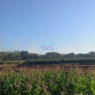 Dijual Tanah Zona Industri Lokasi Sumberlawang Sragen Jawa Tengah Luas 50 Ha