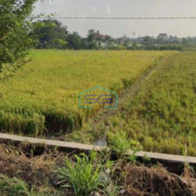Dijual Tanah Zona Industri Lokasi Delanggu Klaten Jawa Tengah Luas 50000m2