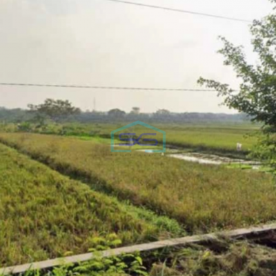 Dijual Tanah Zona Industri Lokasi Delanggu Klaten Jawa Tengah Luas 50000m2